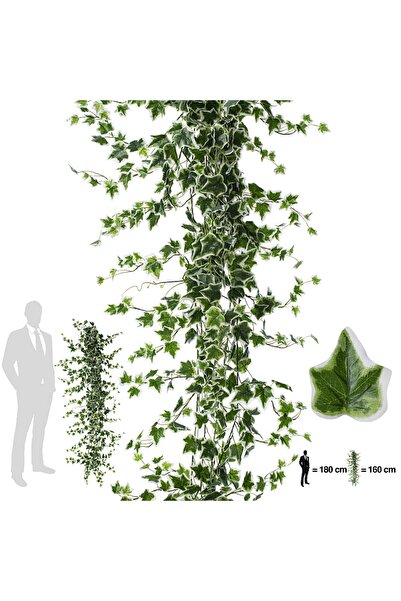 Roberto Rossi Iedera artificiala H160cm cu frunze verde cu alb pentru exterio...