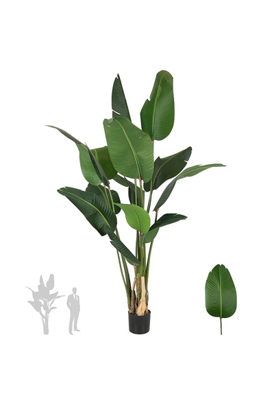 Roberto Rossi Planta artificiala H200cm Strelitzia cu 13 frunze
