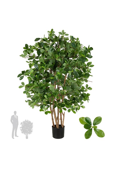 Roberto Rossi Copac artificial H120cm Ficus orient cu 2100 frunze