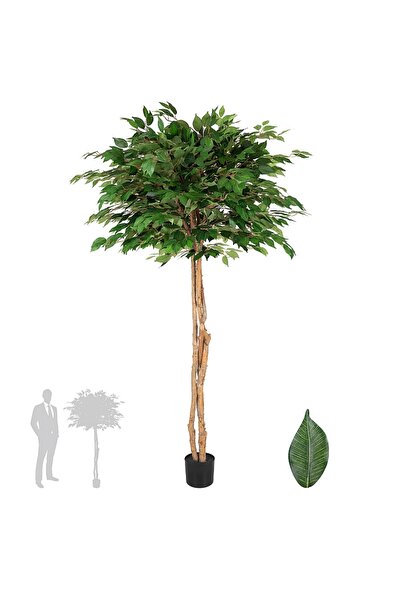 Roberto Rossi Copac artificial H180cm Ficus cu 1764 frunze, coroana D110cm