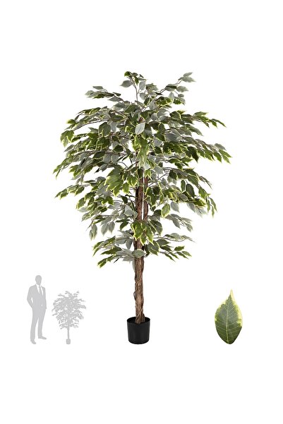 Roberto Rossi Copac artificial H150cm Ficus variegat cu 3 trunchiuri si 882 f...