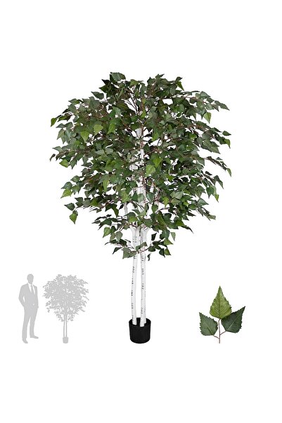 Roberto Rossi Copac artificial H180cm Mesteacan alb cu 1440 frunze