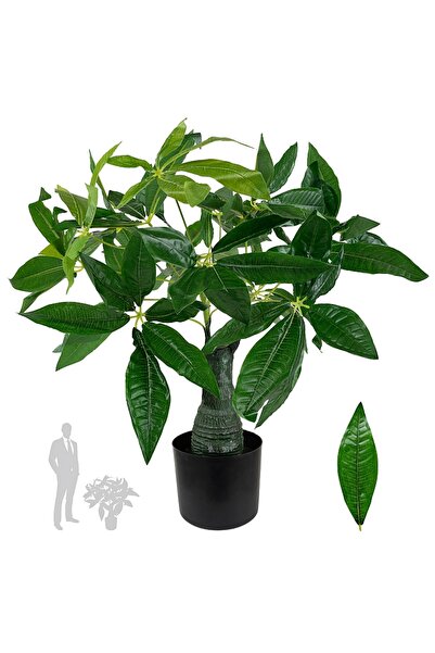 Roberto Rossi Planta artificiala H65cm Schefflera amate