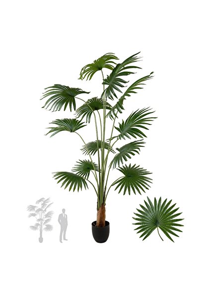 Roberto Rossi Palmier artificial H200cm Washingtonia cu 12 frunze cu protecți...