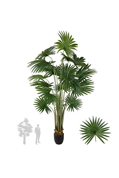Roberto Rossi Palmier artificial H200cm Washingtonia robusta cu 18 frunze cu ...