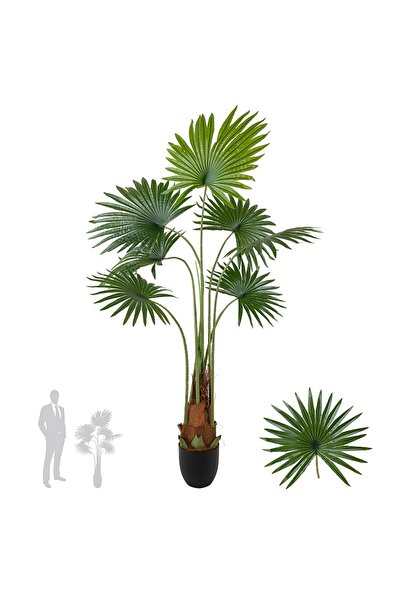 Roberto Rossi Palmier artificial H140cm Washingtonia robusta cu 7 frunze cu p...