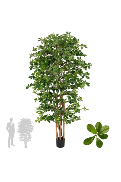 Roberto Rossi Copac artificial H180cm Ficus orient cu 3780 frunze