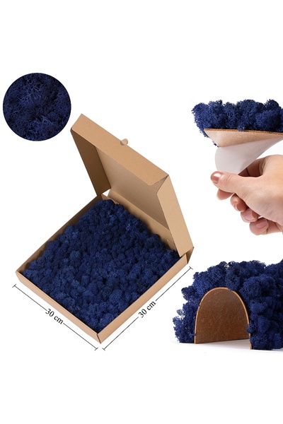 Roberto Rossi Licheni stabilizati panou 30x30 cm albstru cobalt, gata lipiti ...