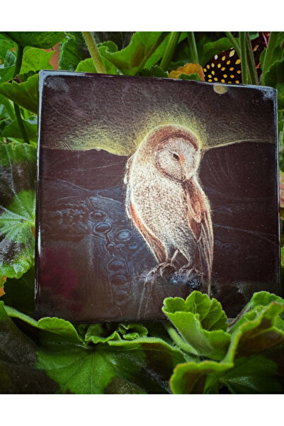 OEM  "Νυχτοπούλι " Κεραμικό Σουβέρ – Αποκλειστικό Καλλιτεχνικό Σχέδιο