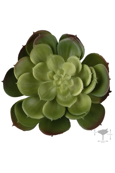 Roberto Rossi Planta artificiala suculenta model75