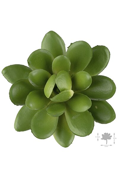 Roberto Rossi Planta artificiala suculenta model51