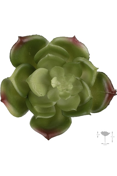 Roberto Rossi Planta artificiala suculenta model88