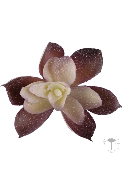 Roberto Rossi Planta artificiala suculenta model70