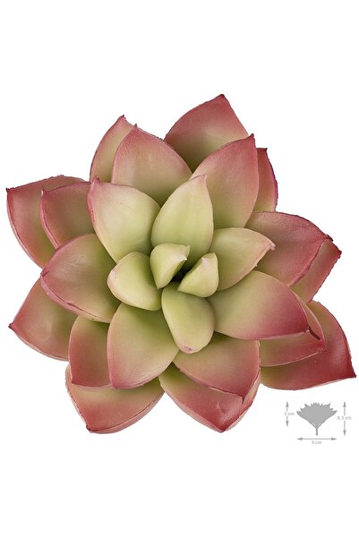 Roberto Rossi Planta artificiala suculenta model65