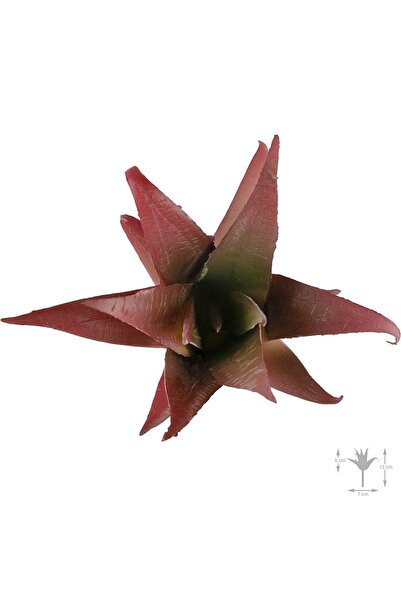 Roberto Rossi Planta artificiala suculenta model60