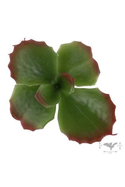 Roberto Rossi Planta artificiala suculenta model12
