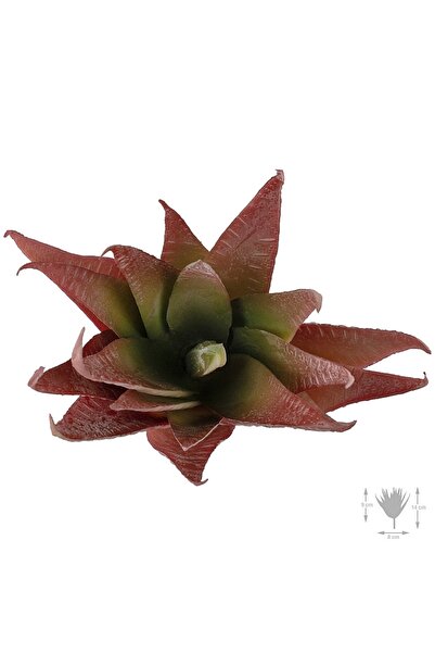 Roberto Rossi Planta artificiala suculenta model49