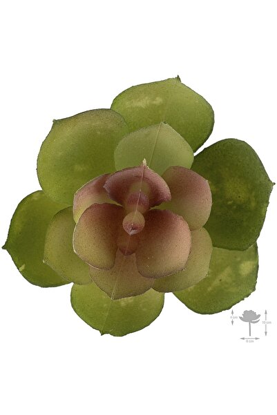 Roberto Rossi Planta artificiala suculenta model52