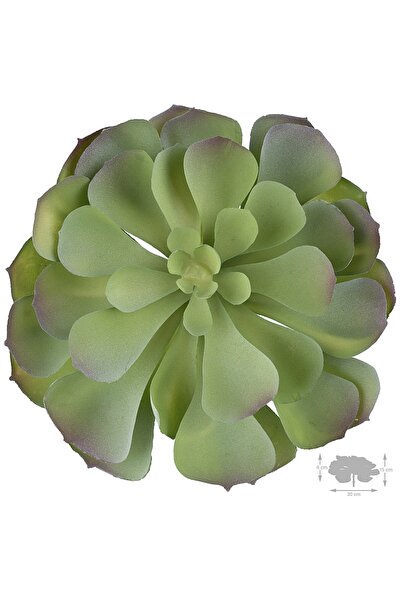 Roberto Rossi Planta artificiala suculenta model45