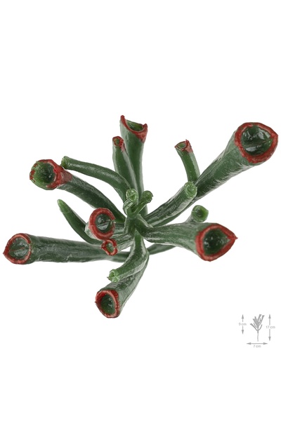 Roberto Rossi Planta artificiala suculenta model83