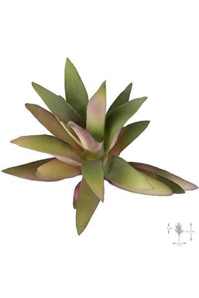 Roberto Rossi Planta artificiala suculenta model19
