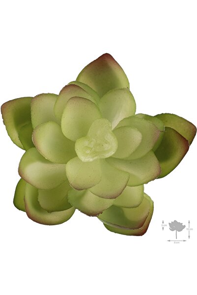 Roberto Rossi Planta artificiala suculenta model16