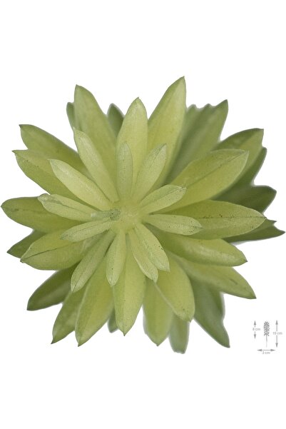 Roberto Rossi Planta artificiala suculenta model34