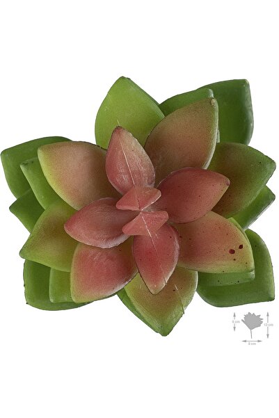 Roberto Rossi Planta artificiala suculenta model58