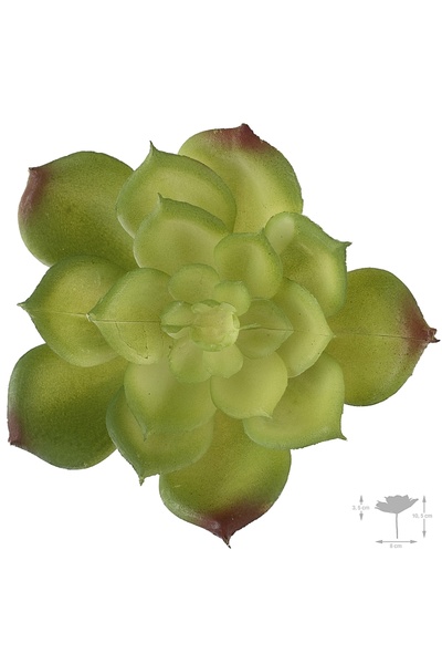 Roberto Rossi Planta artificiala suculenta model72