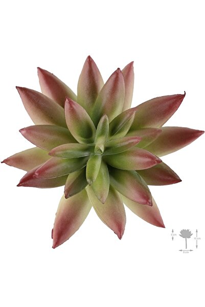 Roberto Rossi Planta artificiala suculenta model63