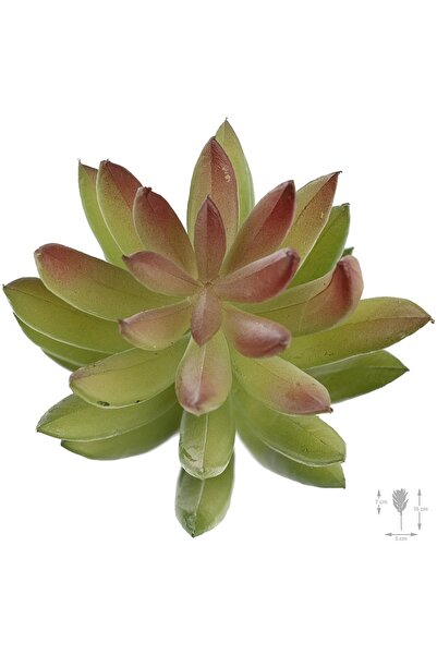 Roberto Rossi Planta artificiala suculenta model64