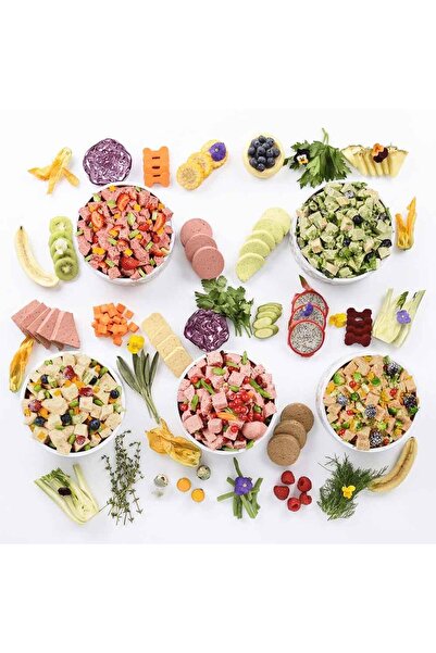 Pet Chef Chefin Tadım Menüsü Hipoalerjenik Fresh Galantin 12 Kg