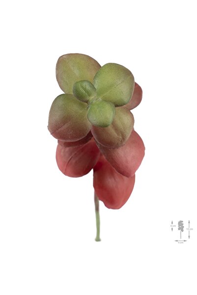 Roberto Rossi Planta artificiala suculenta model11