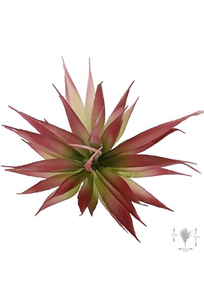 Roberto Rossi Planta artificiala suculenta model38