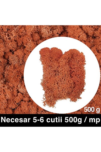 Roberto Rossi Licheni curatati si fara radacina conservati 500g NET, calitate...