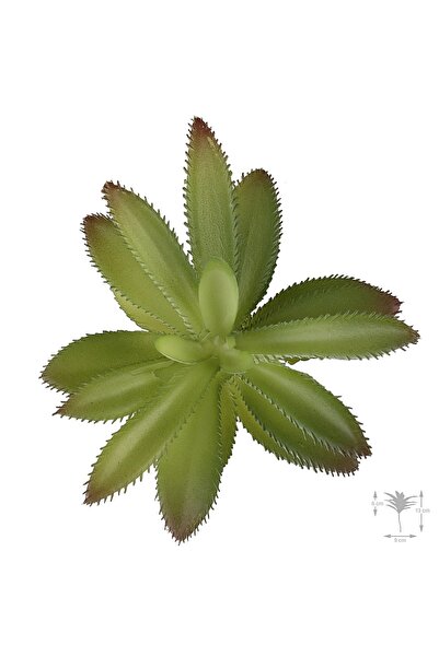 Roberto Rossi Planta artificiala suculenta model29