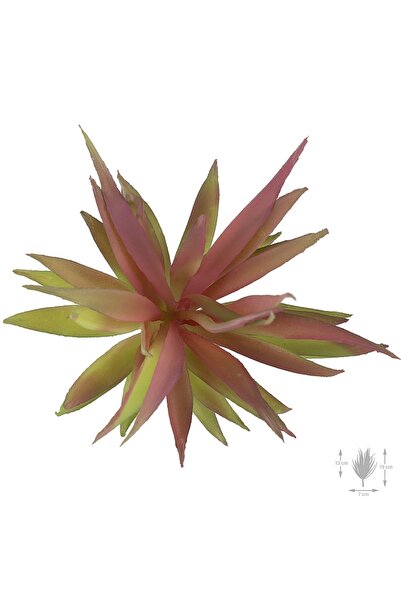 Roberto Rossi Planta artificiala suculenta model37