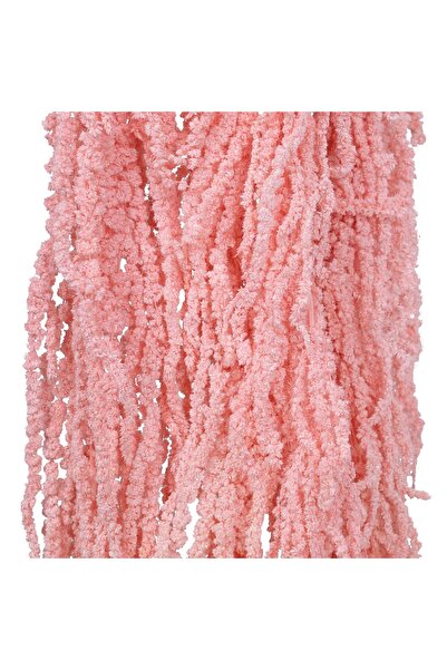 Roberto Rossi Crenguta conservata de Amaranthus H70-80 cm roz deschis