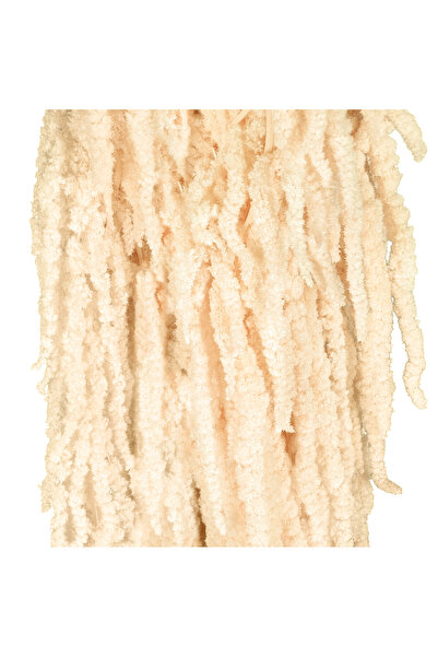 Roberto Rossi Crenguta conservata de Amaranthus H70-80 cm crem inchis