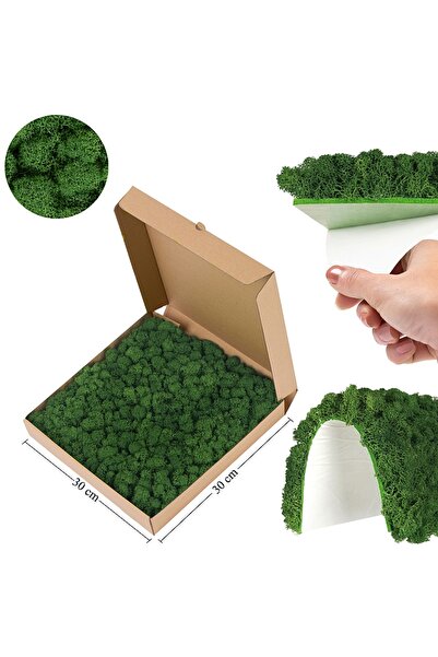 Roberto Rossi Panou licheni conservati 30x30 cm verde broccoli RR37