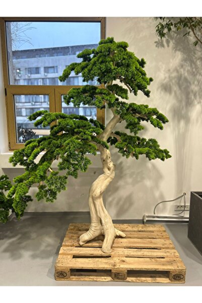 Roberto Rossi Bonsai artificial H200cm Pin cu trunchi din lemn cu frunze verzi