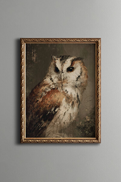 epiqart Owl Portrait - Vintage Patterned Frame - Slim Model