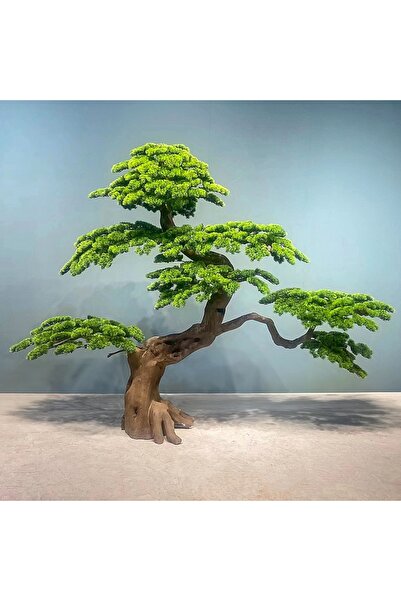 Roberto Rossi Bonsai artificial H200cm Pin cu trunchi din lemn