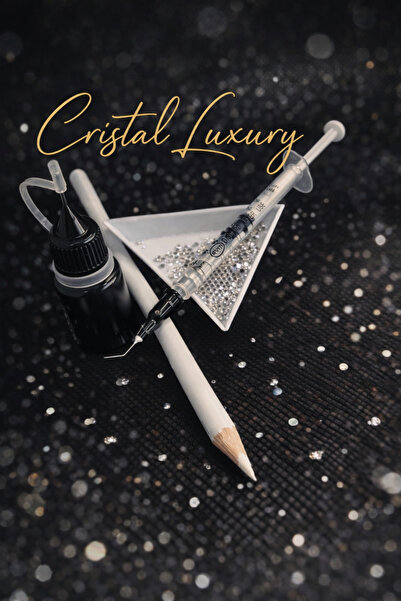 OEM Crystal portrait kit + sketch GIFT