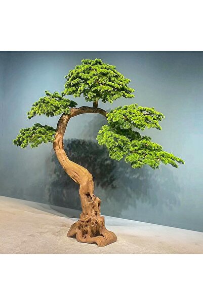 Roberto Rossi Bonsai artificial H185cm Pin cu trunchi din lemn, coroana L210x...