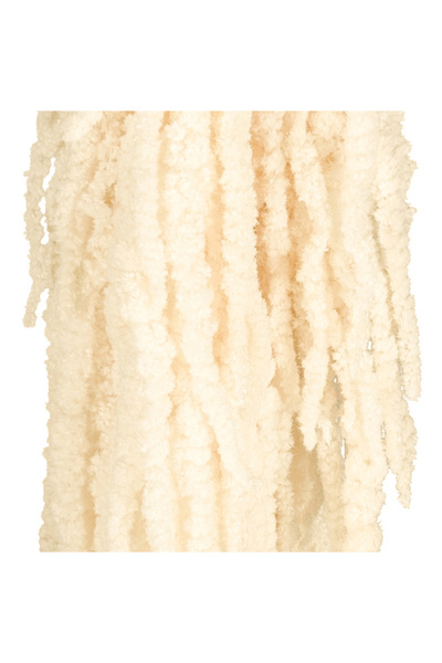 Roberto Rossi Crenguta conservata de Amaranthus H70-80 cm champagne