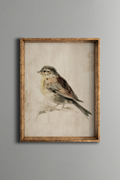 epiqart Bird Illustration - Vintage Patterned Frame - Slim Model