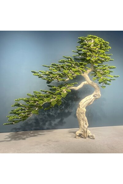 Roberto Rossi Bonsai artificial H300cm Pin cu trunchi din lemn, coroana L300x...