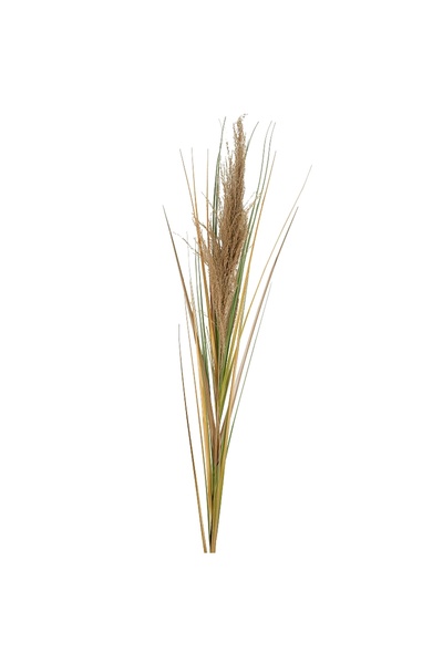Roberto Rossi Spic iarba artificiala 180 cm cu 1 floare naturala de pampas bej