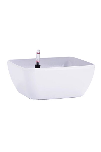 Roberto Rossi Ghiveci inteligent H12x27,5x27,5 cm RobertoRossi Quadro Bowl al...